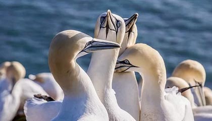 开练！马瑟林赤膊上阵训练挥汗如雨 打板大战斧劈扣赏心悦目